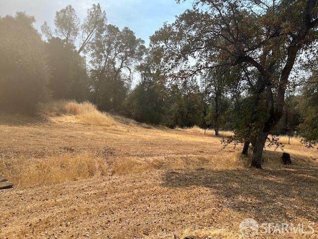 19481 Rambling Oak Drive Redding, CA 96003 - Photo 56 of 62