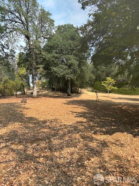 19481 Rambling Oak Drive Redding, CA 96003 - Photo 59 of 62