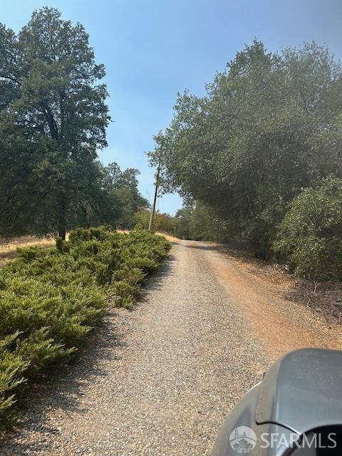 19481 Rambling Oak Drive Redding, CA 96003 - Photo 61 of 62 a view of backyard with outdoor space