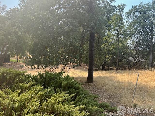 19481 Rambling Oak Drive Redding, CA 96003 - Photo 62 of 62 a view of a yard with a tree