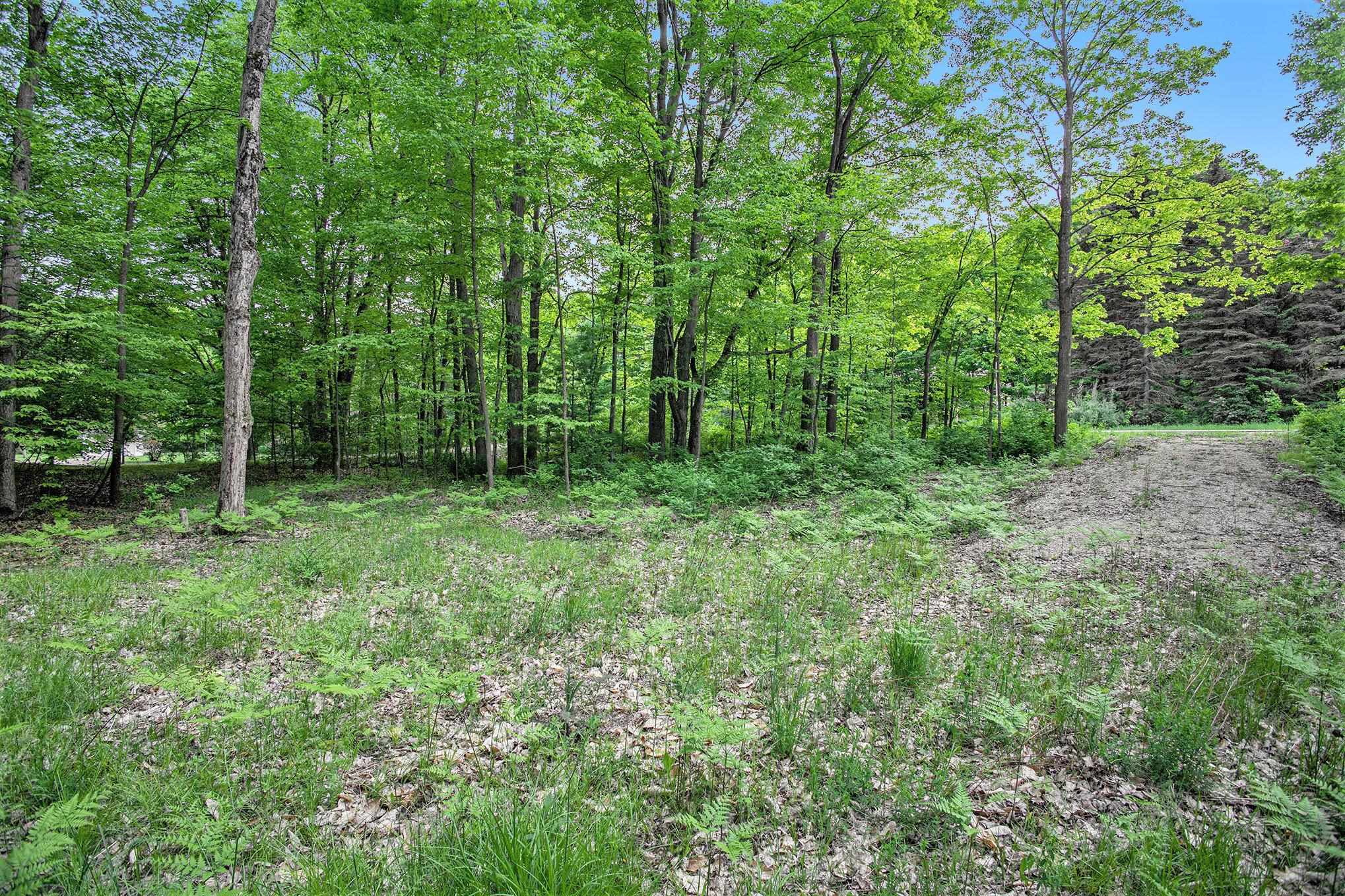 0 Warren Road Beulah, MI 49617 - Photo 12 of 19 Gallery Image 12