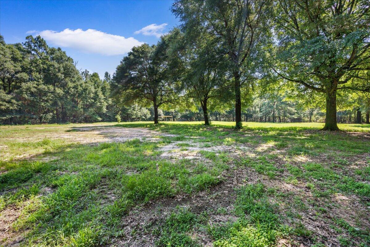 12400 Wildlife Road Holt, FL 32564 - Photo 20 of 62