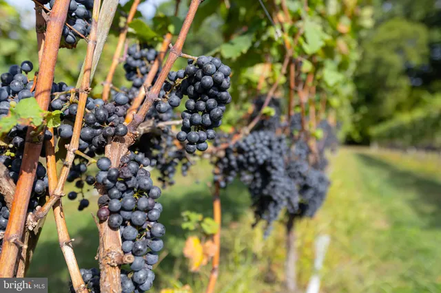 $1,299,500 | 380 Heritage Road, Sewell, NJ 08080