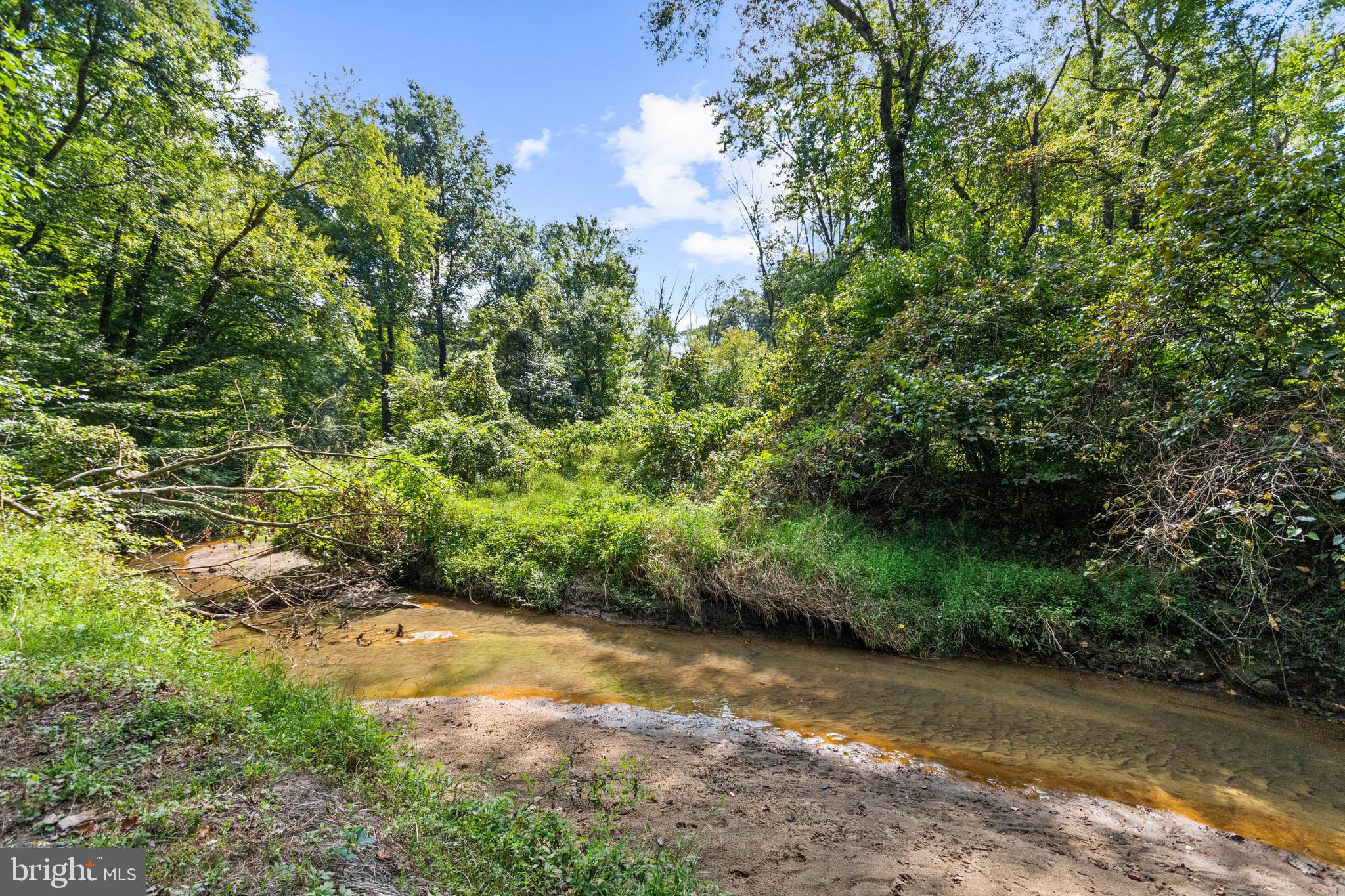 380 Heritage Road Sewell, NJ 08080 - Photo 45 of 56 a view of a yard with plants and a large tree