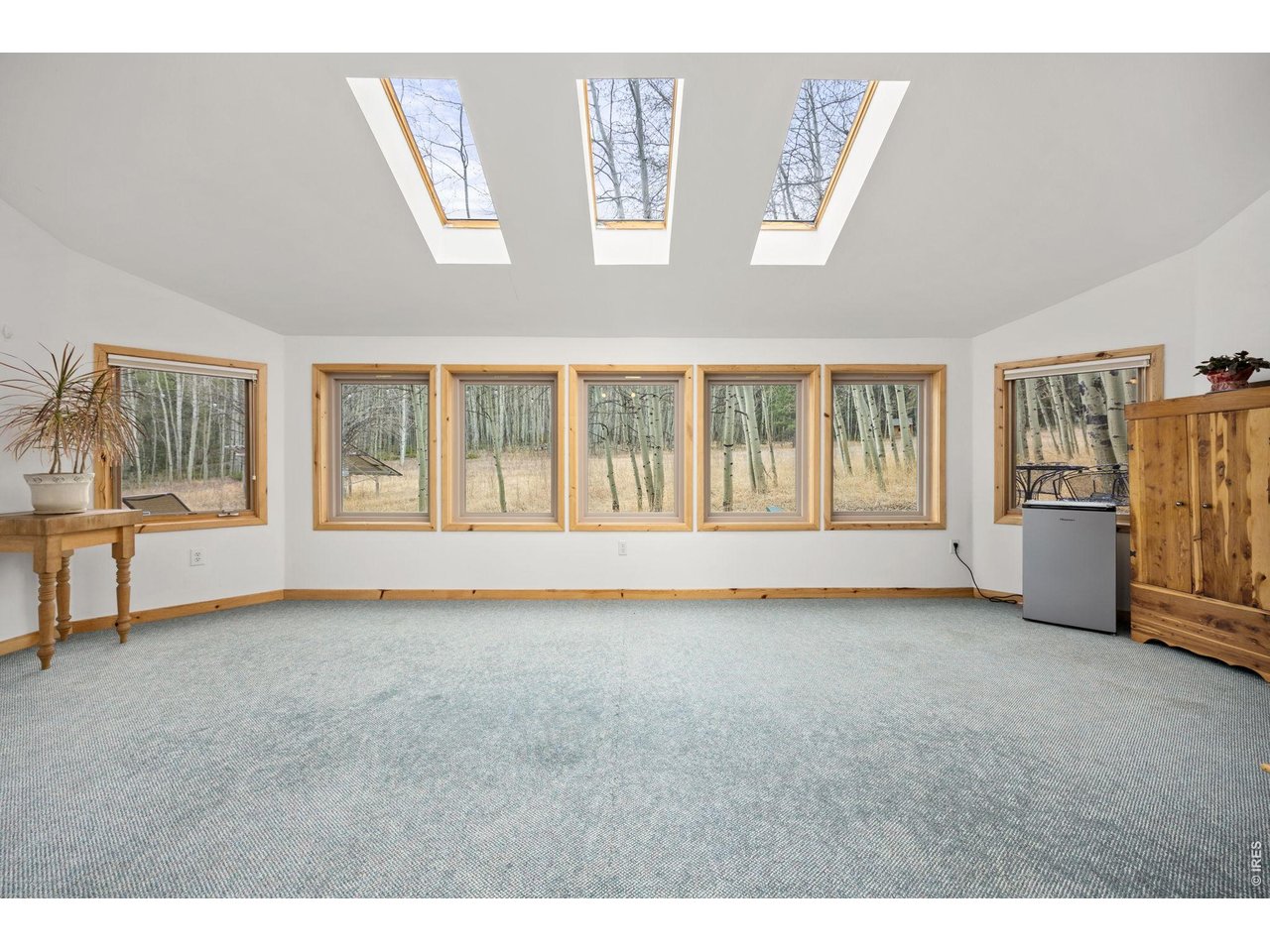 438 North County Road Rollinsville, CO 80474 - Photo 19 of 50 Family room or sun space