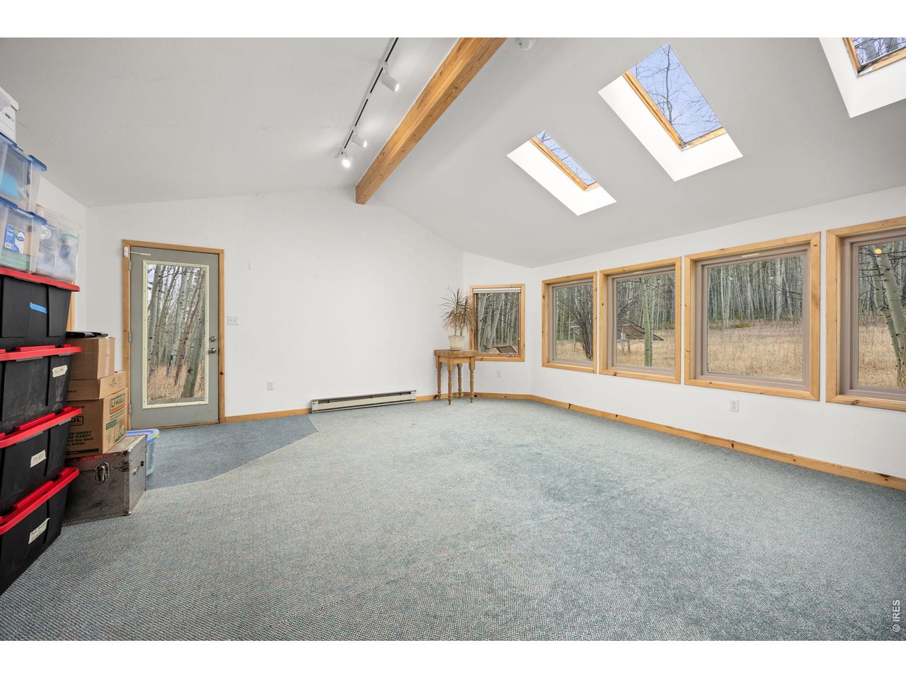 438 North County Road Rollinsville, CO 80474 - Photo 20 of 50 Bright natural light from a wall of windows plus a row of skylights