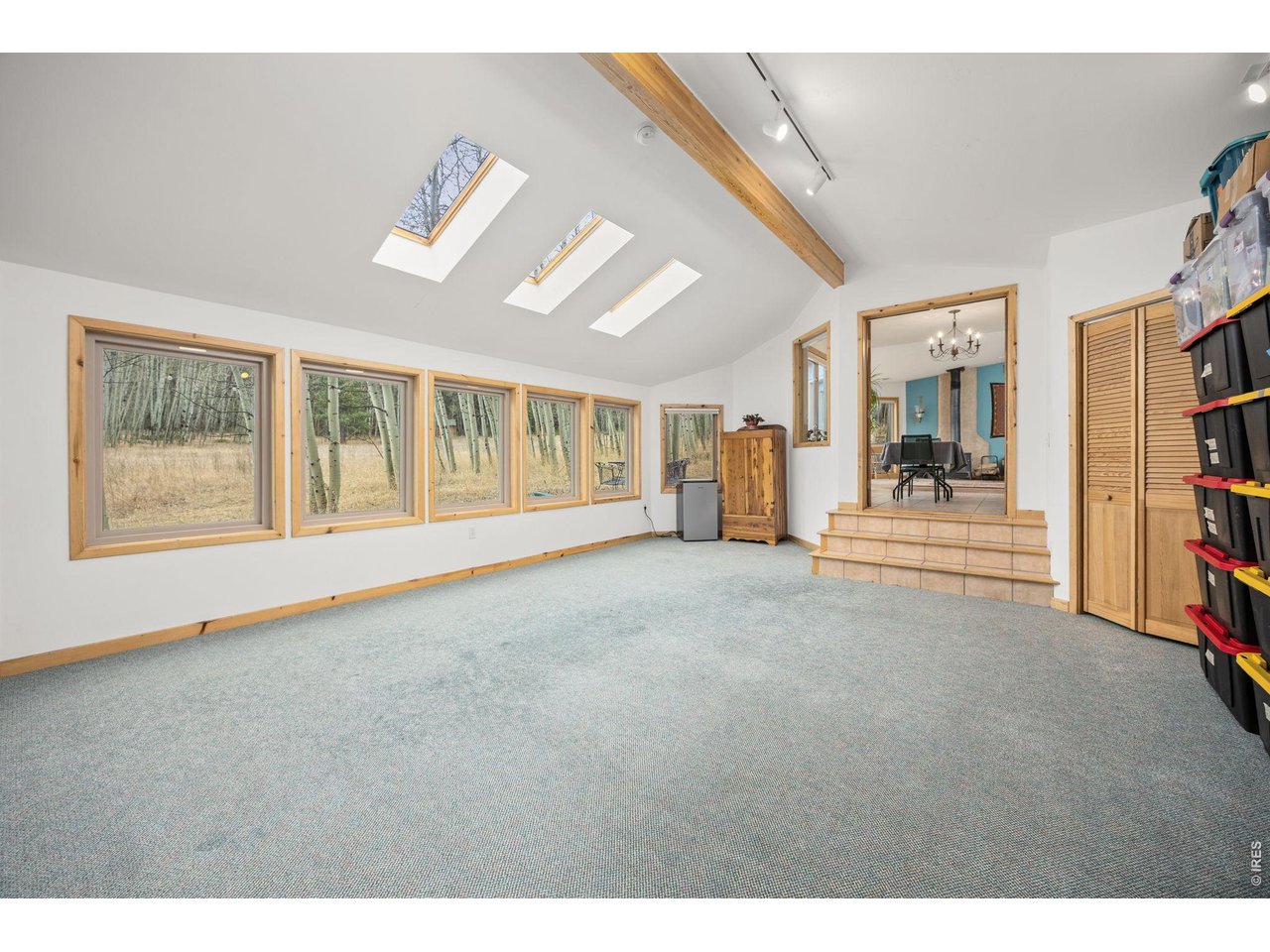 438 North County Road Rollinsville, CO 80474 - Photo 21 of 50 Large flexible-use space