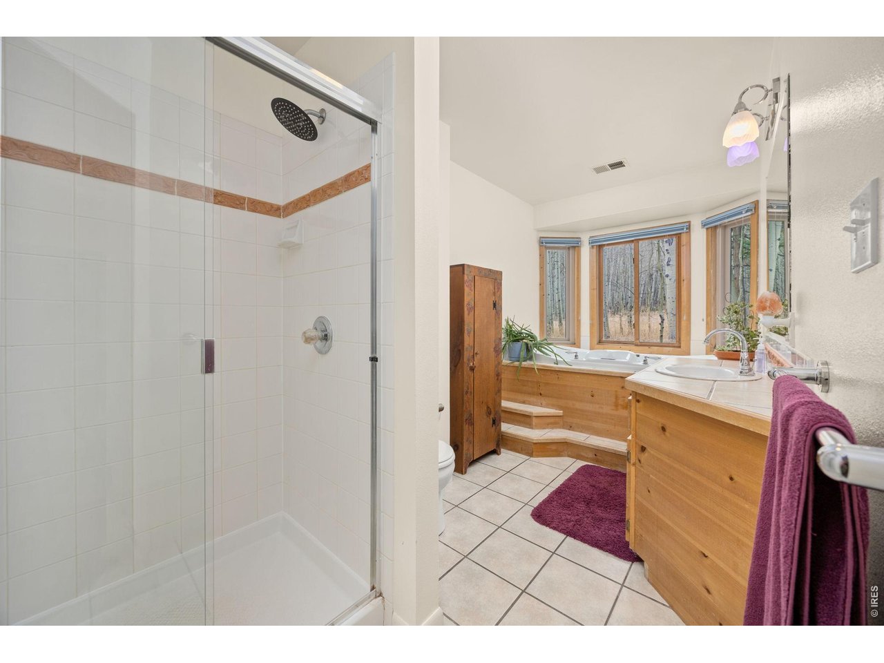 438 North County Road Rollinsville, CO 80474 - Photo 25 of 50 En suite primary bathroom