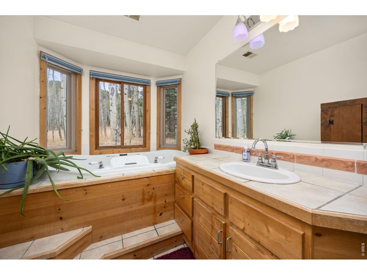 438 North County Road Rollinsville, CO 80474 - Photo 26 of 50 Perfect place to unwind and relax