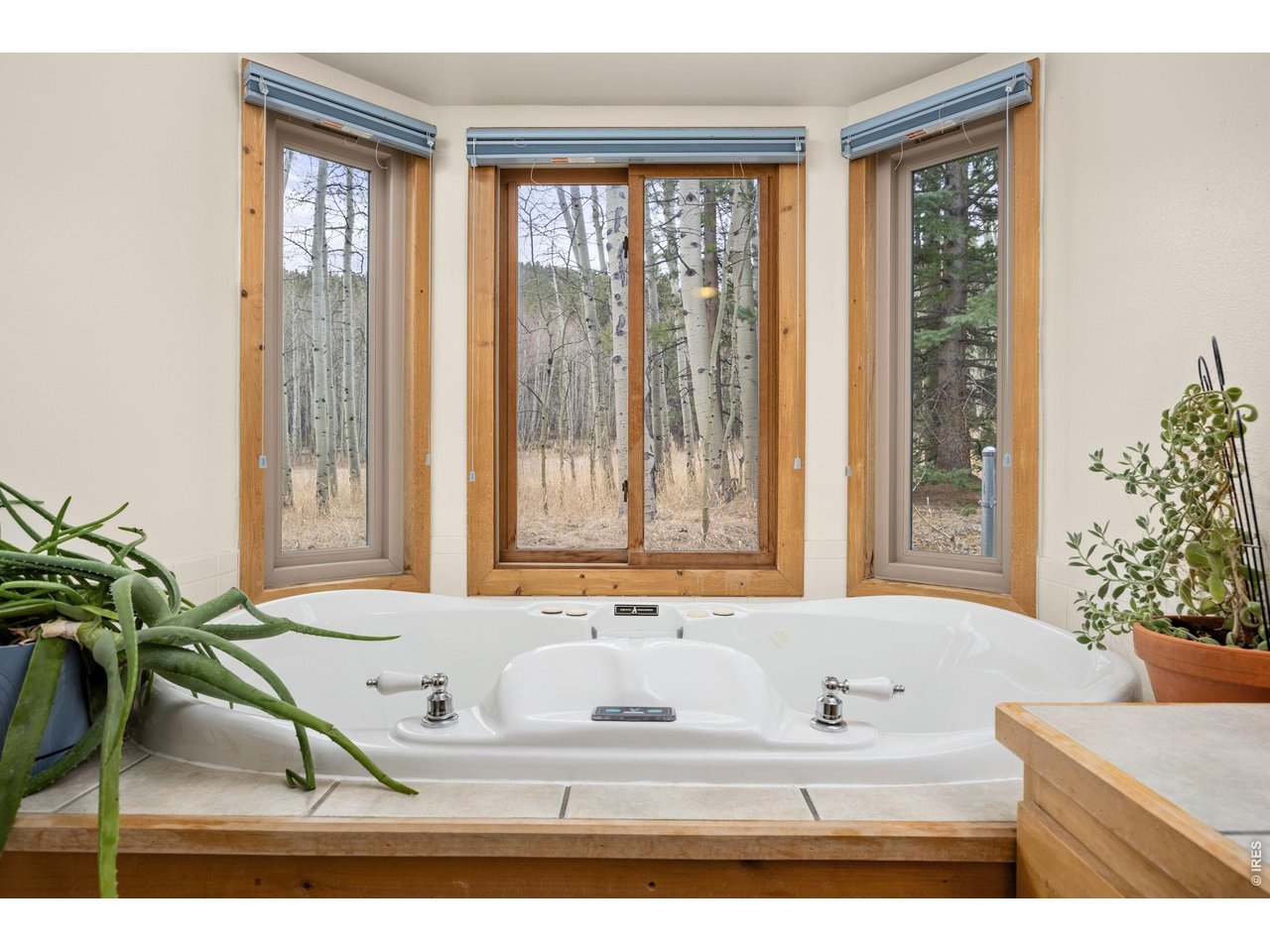 438 North County Road Rollinsville, CO 80474 - Photo 27 of 50 Deep-soaking tub with a view into the aspens