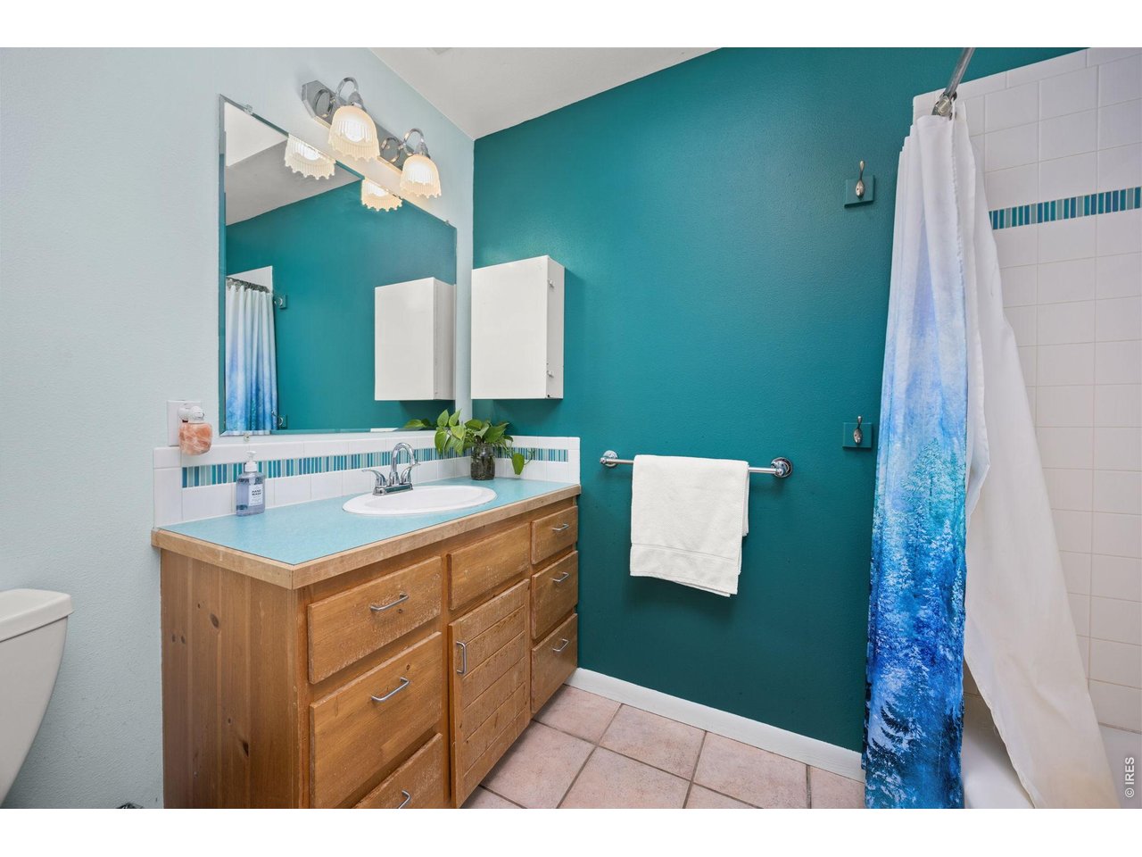 438 North County Road Rollinsville, CO 80474 - Photo 30 of 50 Full guest bathroom with skylight