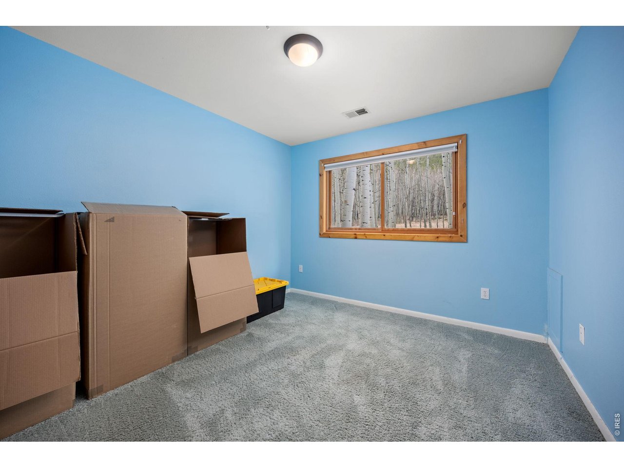 438 North County Road Rollinsville, CO 80474 - Photo 31 of 50 Guest bedroom #2