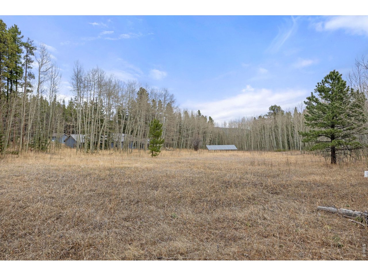 438 North County Road Rollinsville, CO 80474 - Photo 33 of 50 Sun-drenched meadow