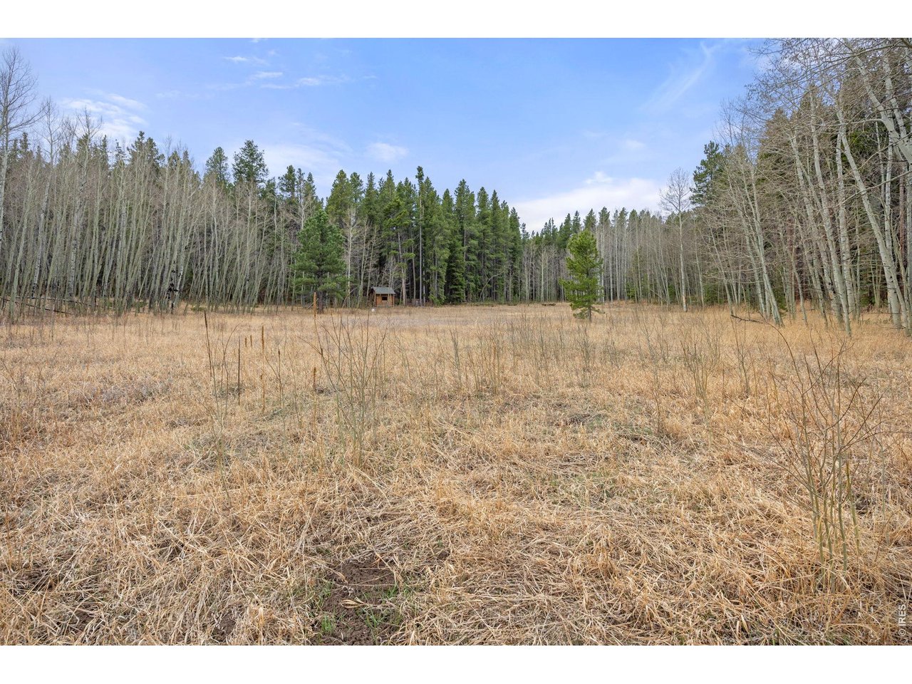 438 North County Road Rollinsville, CO 80474 - Photo 36 of 50 Flat & usable acreage