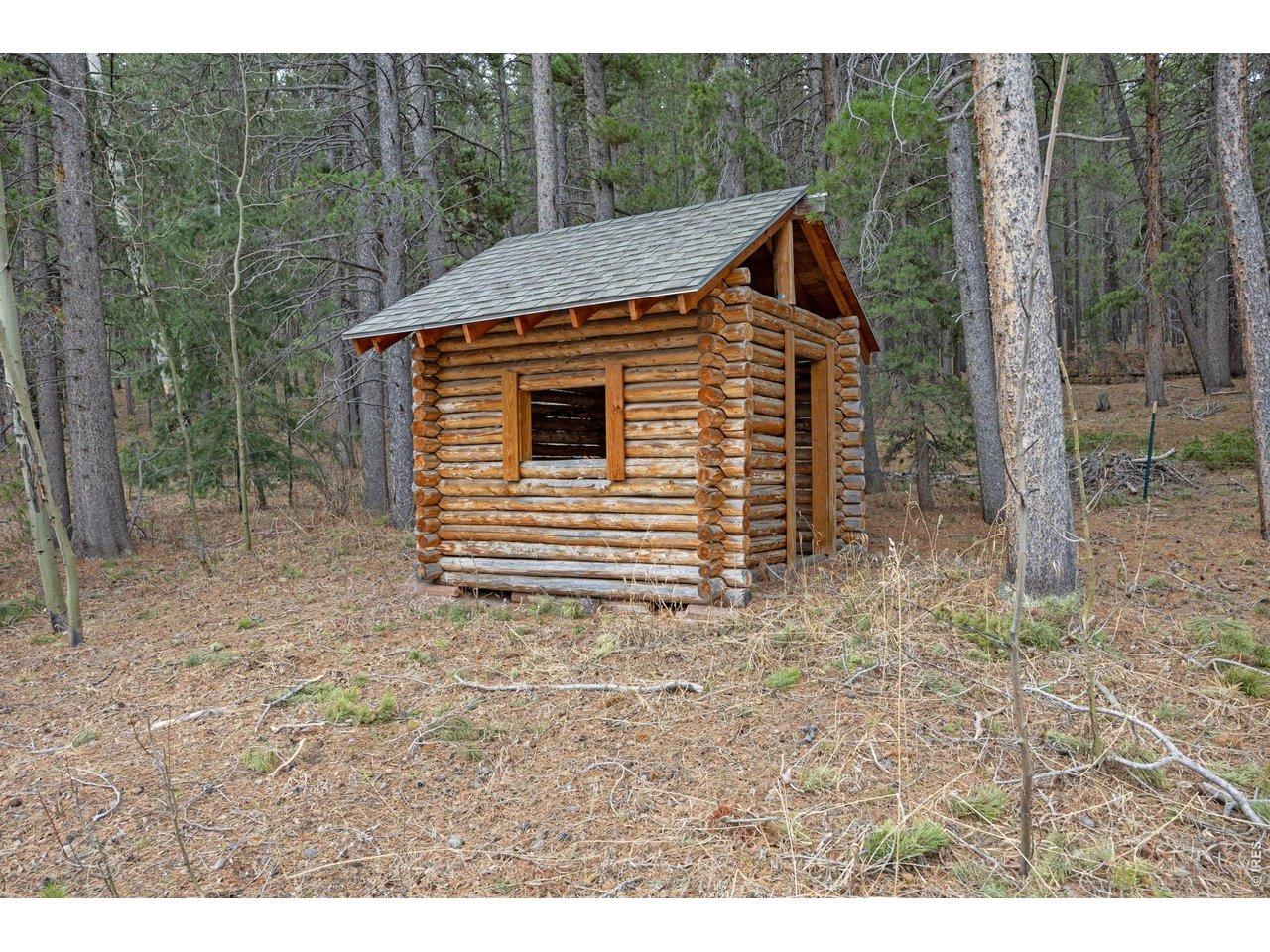 438 North County Road Rollinsville, CO 80474 - Photo 37 of 50 Log cabin shed