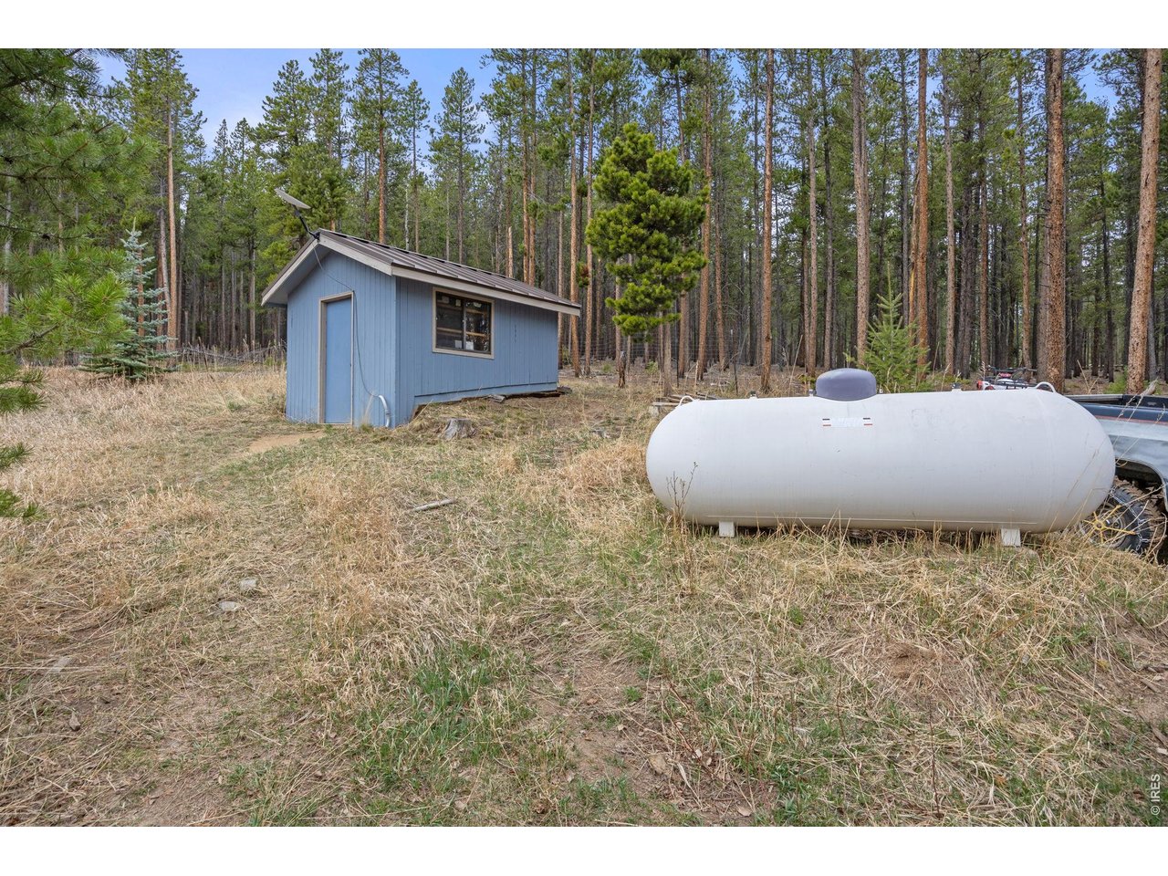 438 North County Road Rollinsville, CO 80474 - Photo 38 of 50 Storage shed