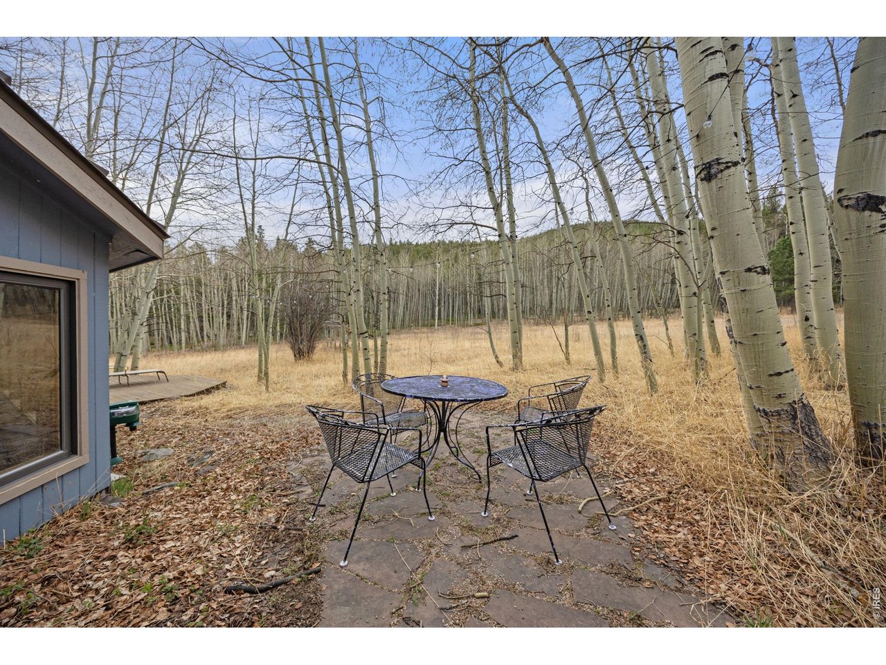 438 North County Road Rollinsville, CO 80474 - Photo 6 of 50 Imagine your summers here in this lush meadow