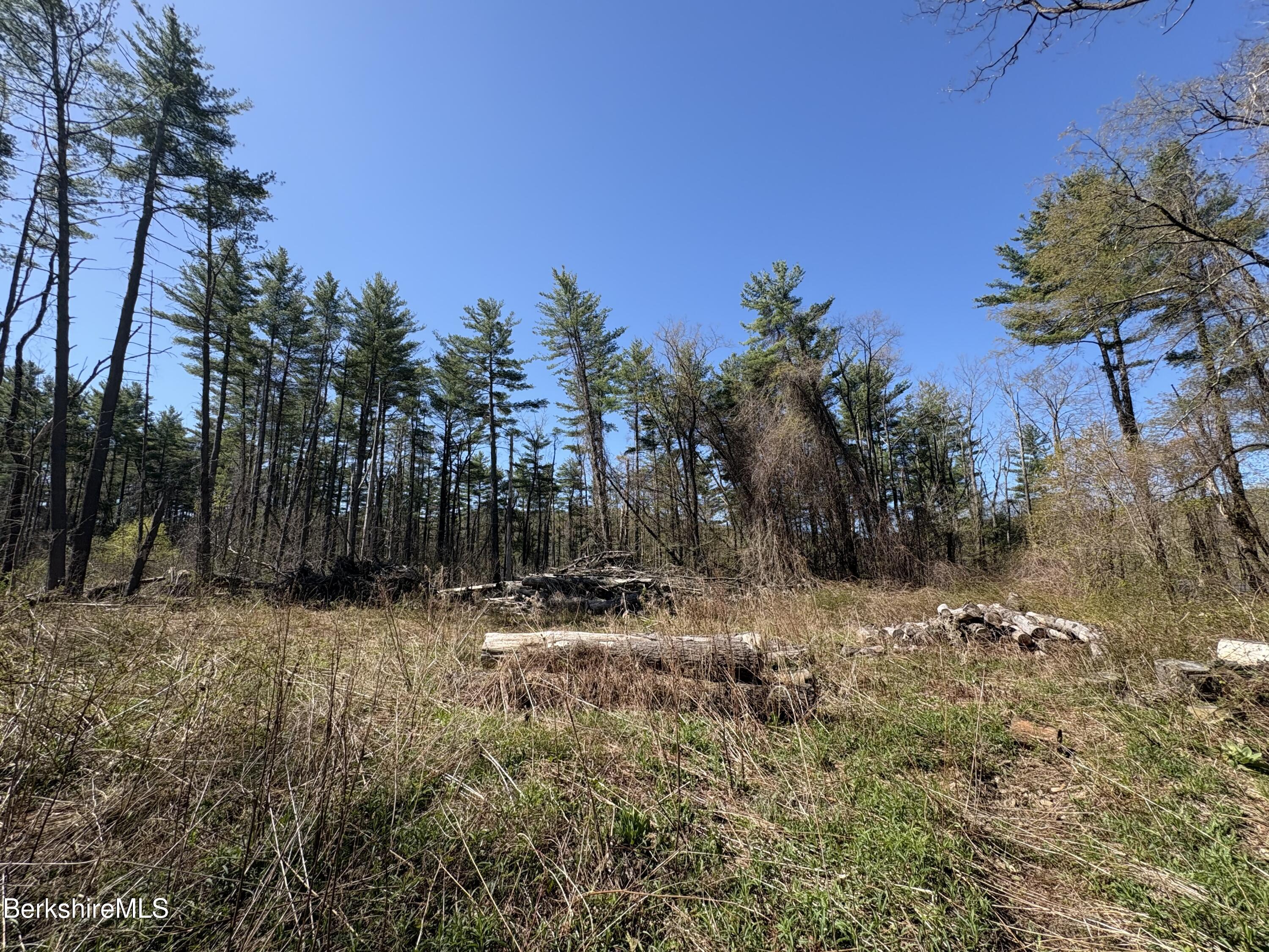 117 Lime Kiln Road Lenox, MA 01240 - Photo 2 of 11 a backyard of a house with lots of green space