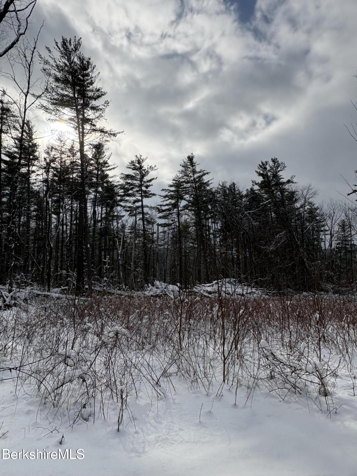 117 Lime Kiln Road Lenox, MA 01240 - Photo 2 of 4 IMG_5150