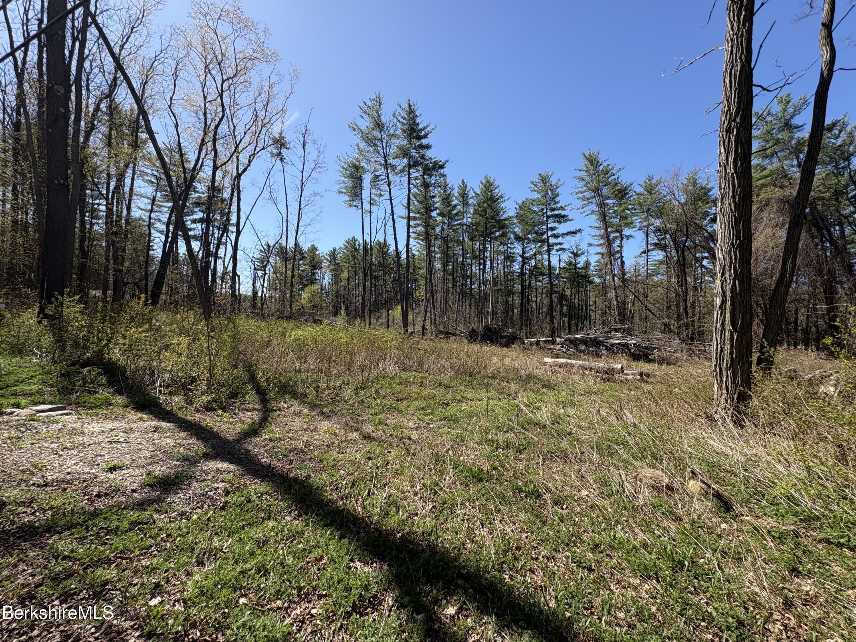 117 Lime Kiln Road Lenox, MA 01240 - Photo 3 of 11 a view of outdoor space with trees