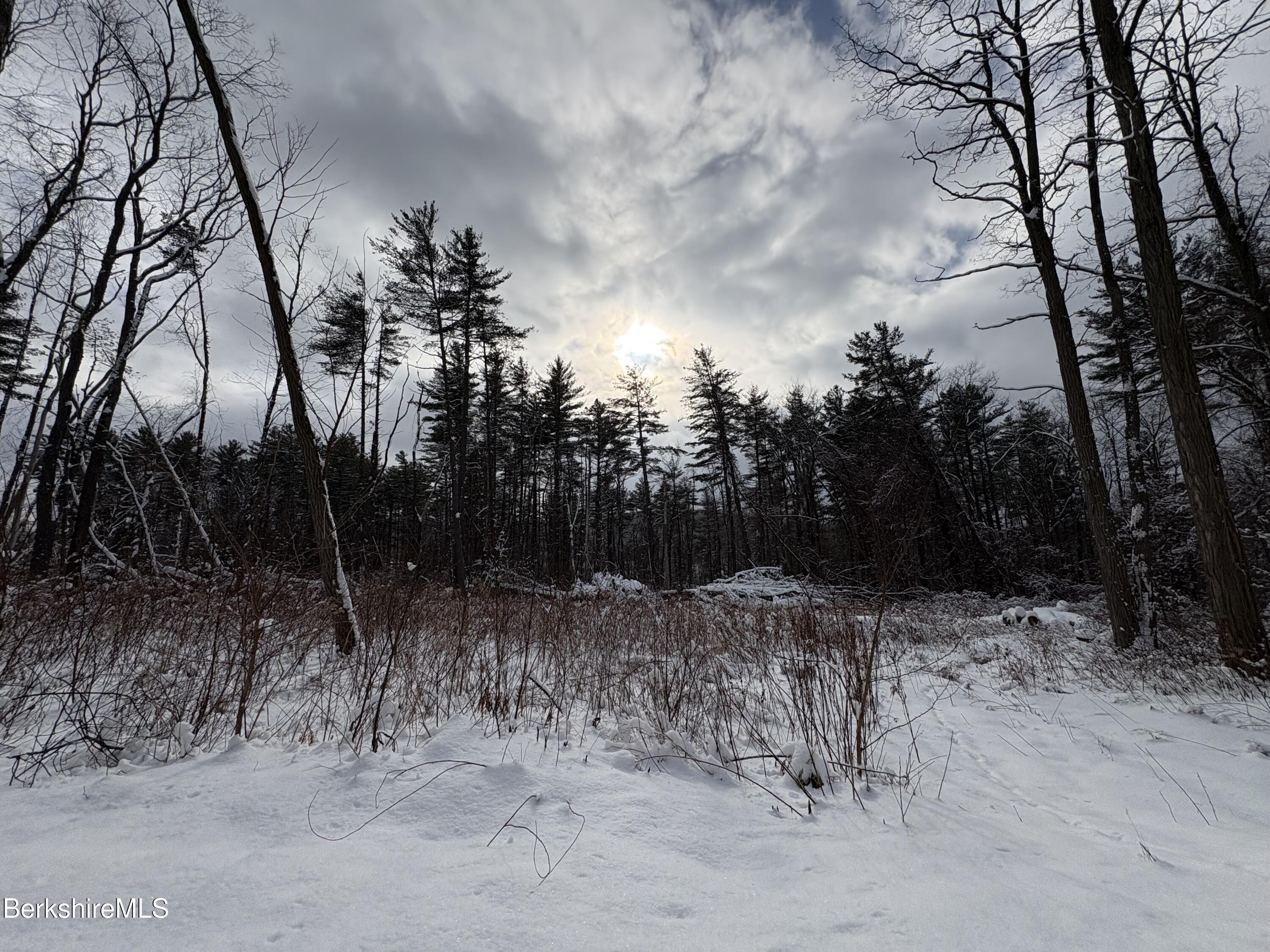 117 Lime Kiln Road Lenox, MA 01240 - Photo 4 of 4 IMG_5152