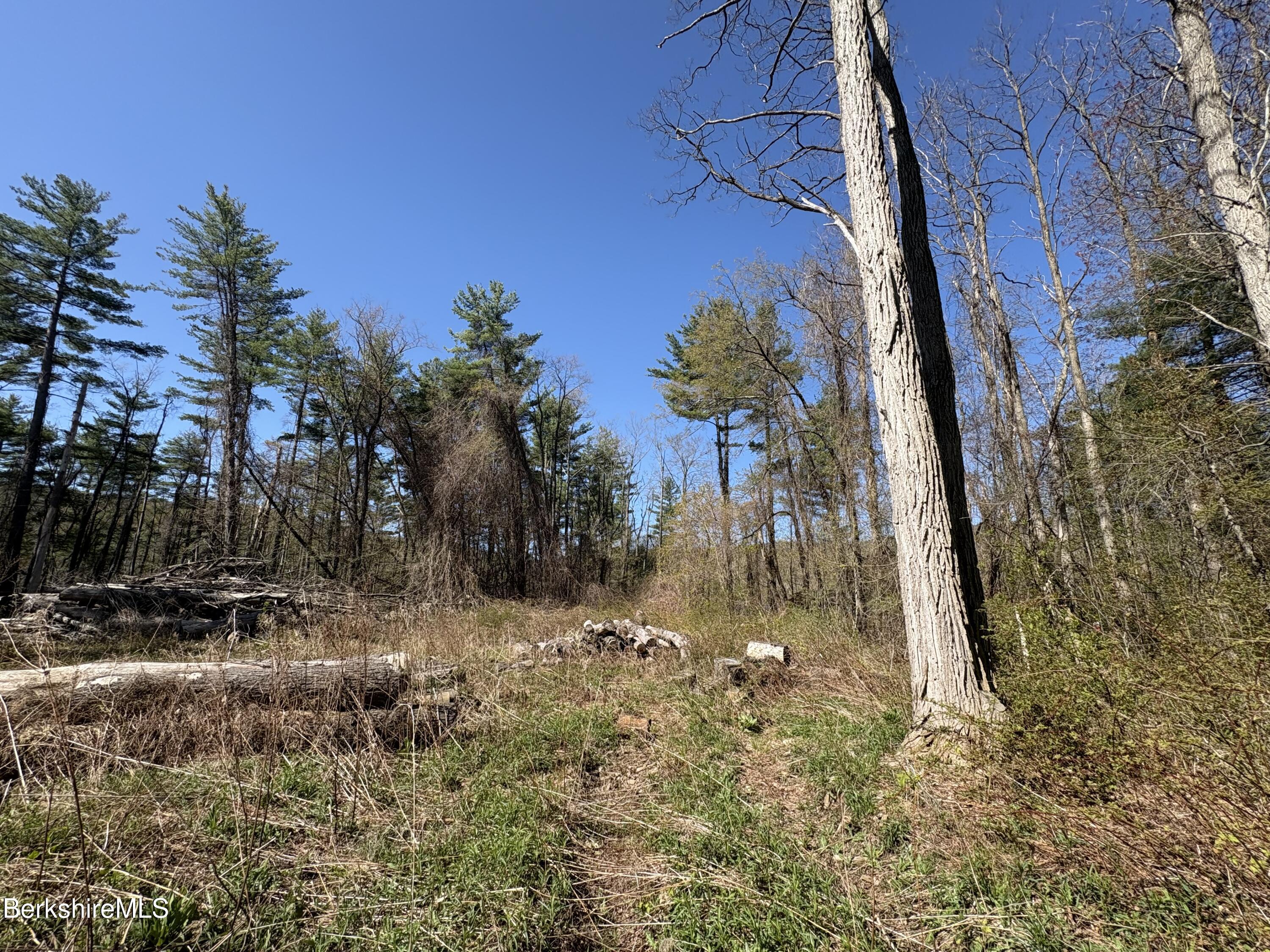 117 Lime Kiln Road Lenox, MA 01240 - Photo 4 of 11 a view of a yard with a tree