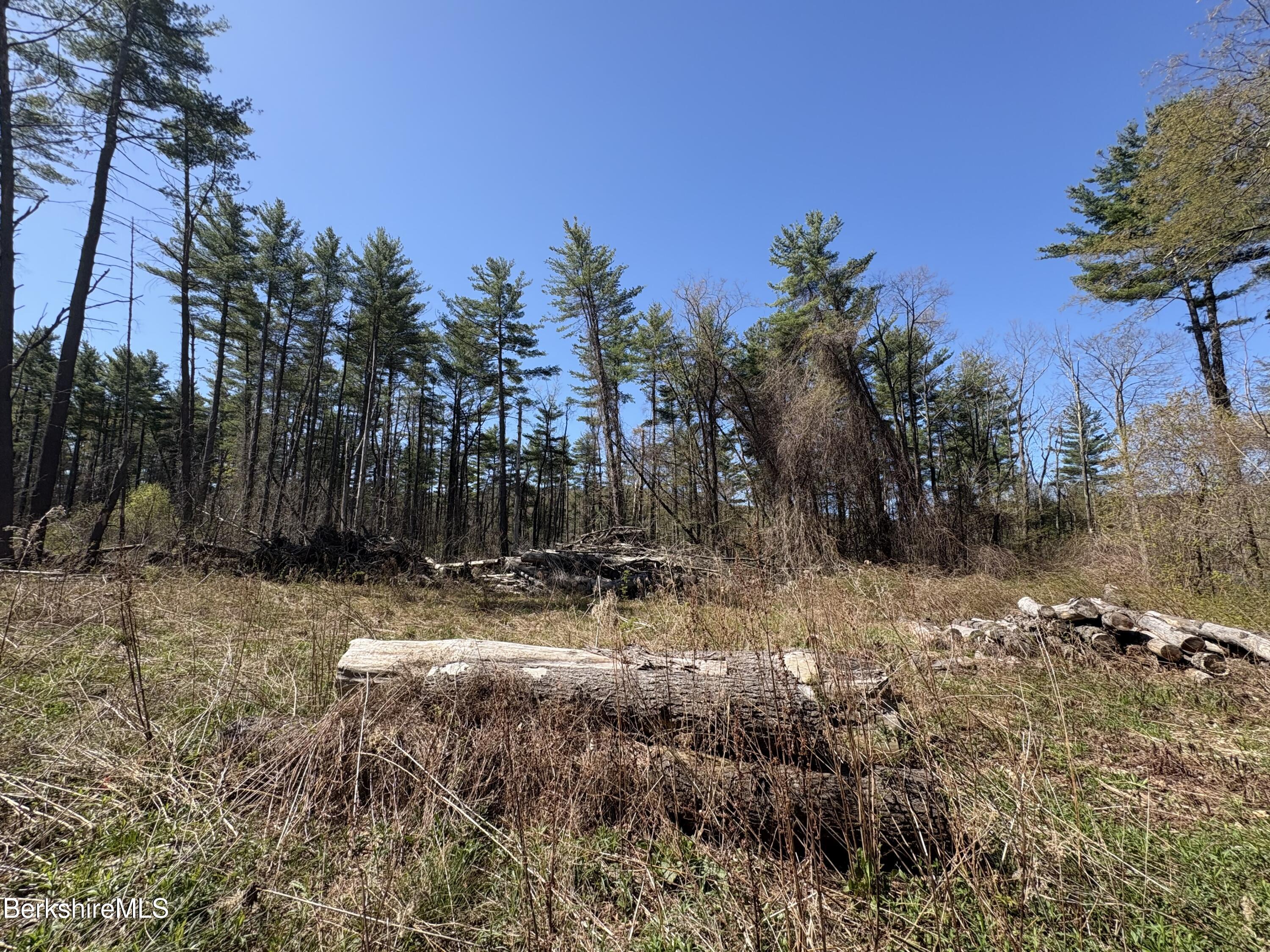 117 Lime Kiln Road Lenox, MA 01240 - Photo 5 of 11 a view of a yard with a tree