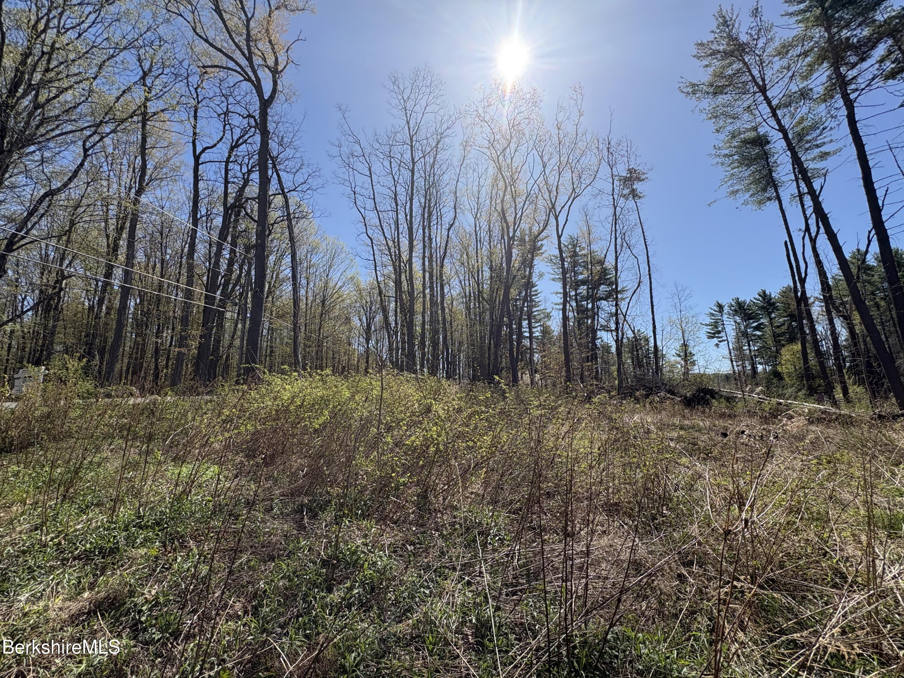 117 Lime Kiln Road Lenox, MA 01240 - Photo 6 of 11 a view of backyard space