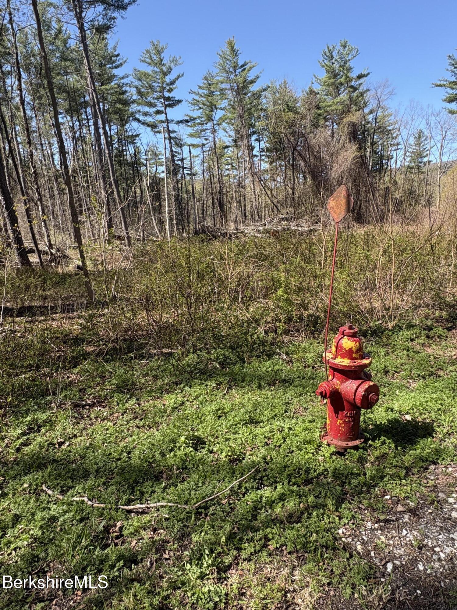 117 Lime Kiln Road Lenox, MA 01240 - Photo 9 of 11 a fire hydrant in the middle of a field