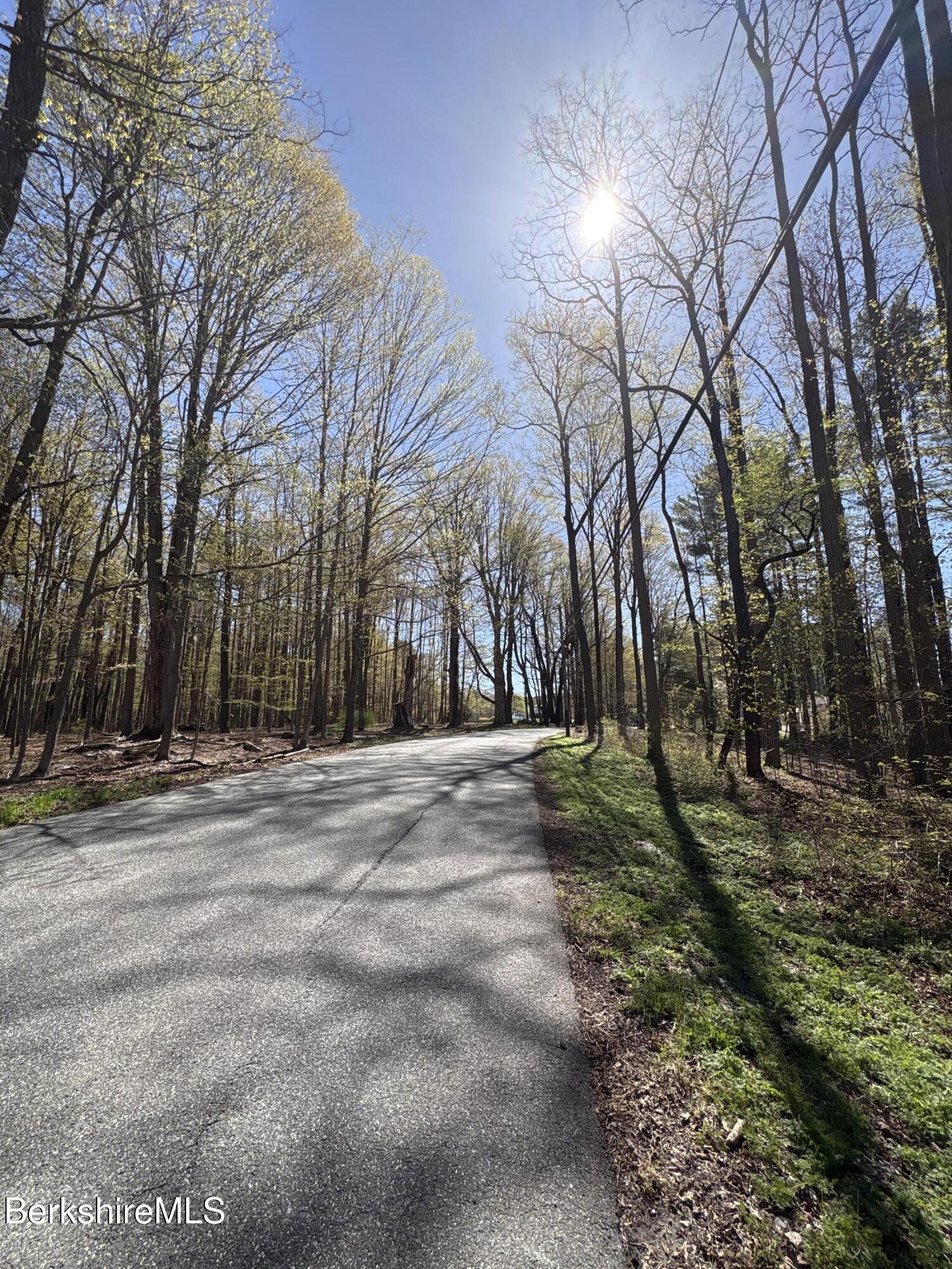 117 Lime Kiln Road Lenox, MA 01240 - Photo 10 of 11 a view of road and trees
