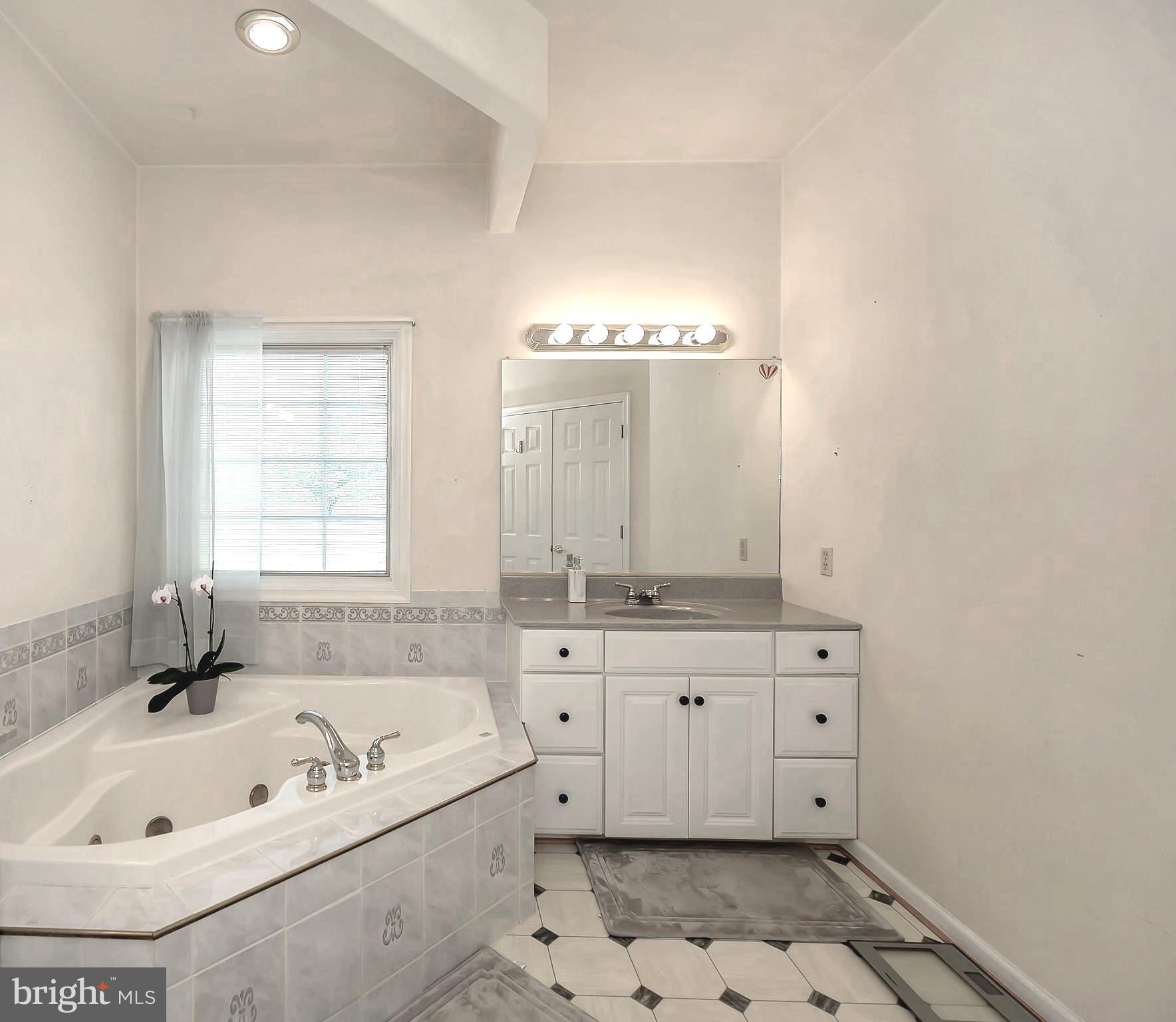 27537 Mine Run Road Rhoadesville, VA 22542 - Photo 30 of 94 Main Level Owner's Suite Bathroom Photo 2