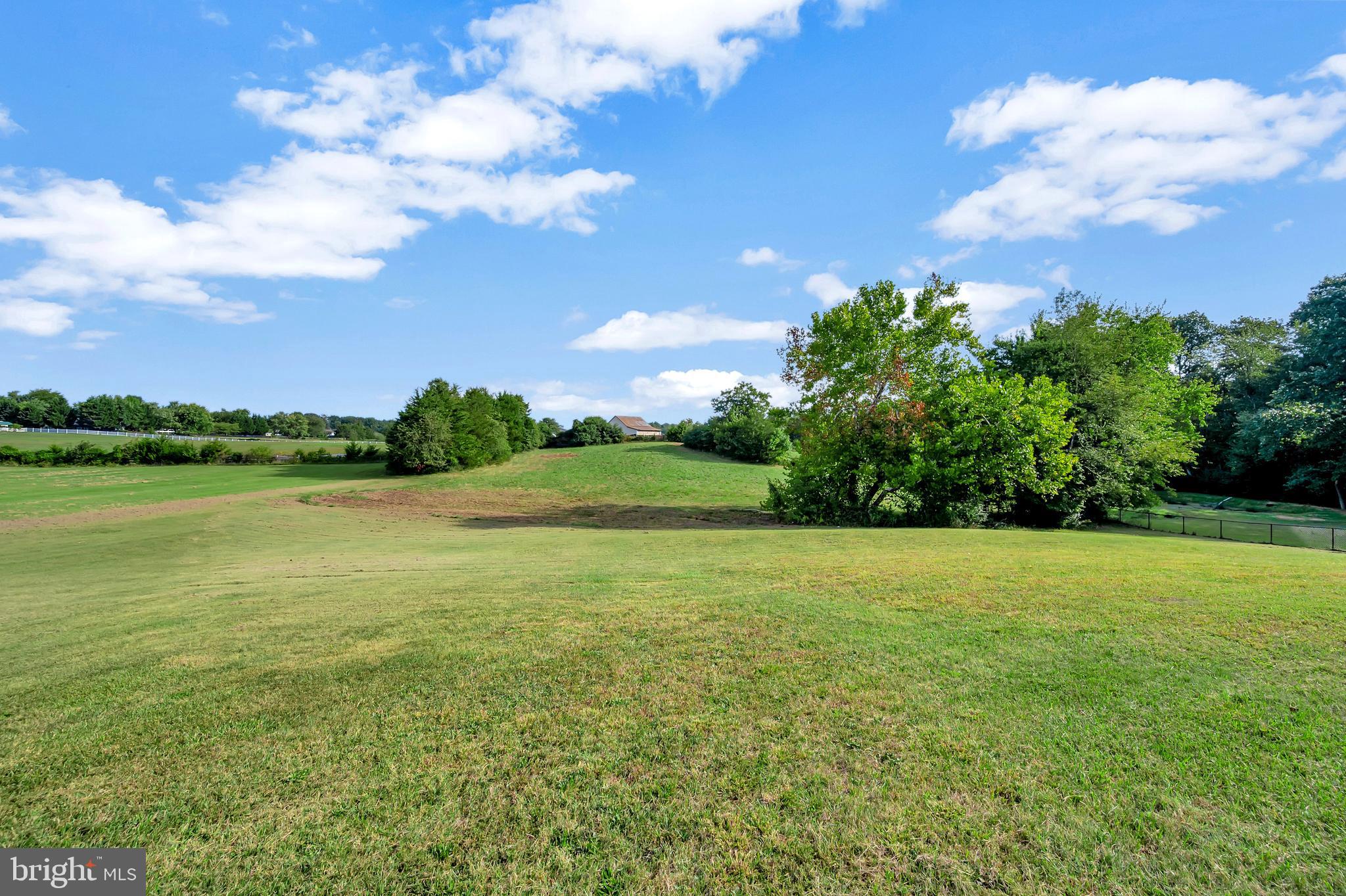 27537 Mine Run Road Rhoadesville, VA 22542 - Photo 57 of 94 Rear Acreage Photo 1