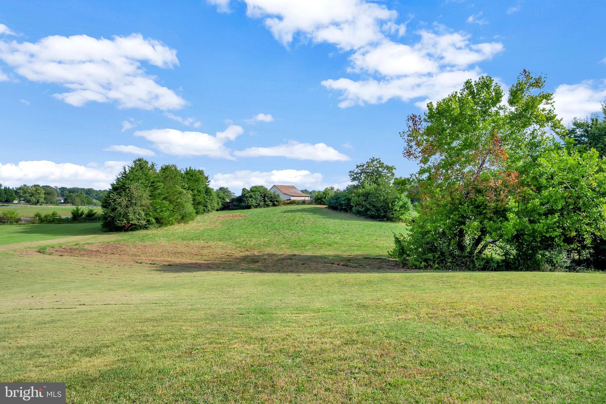 27537 Mine Run Road Rhoadesville, VA 22542 - Photo 58 of 94 Rear Acreage Photo 2