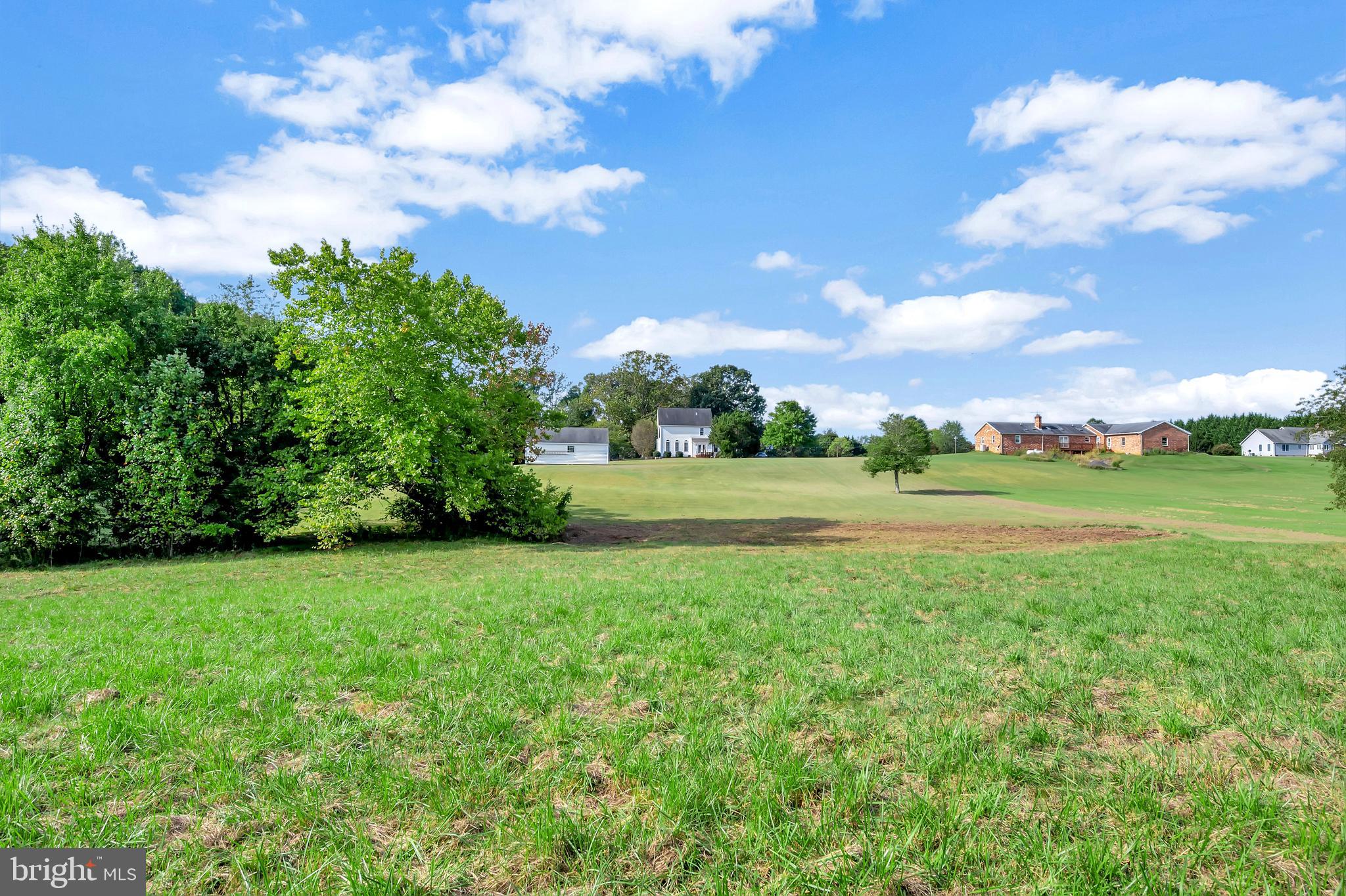 27537 Mine Run Road Rhoadesville, VA 22542 - Photo 59 of 94 Rear Acreage Photo 3