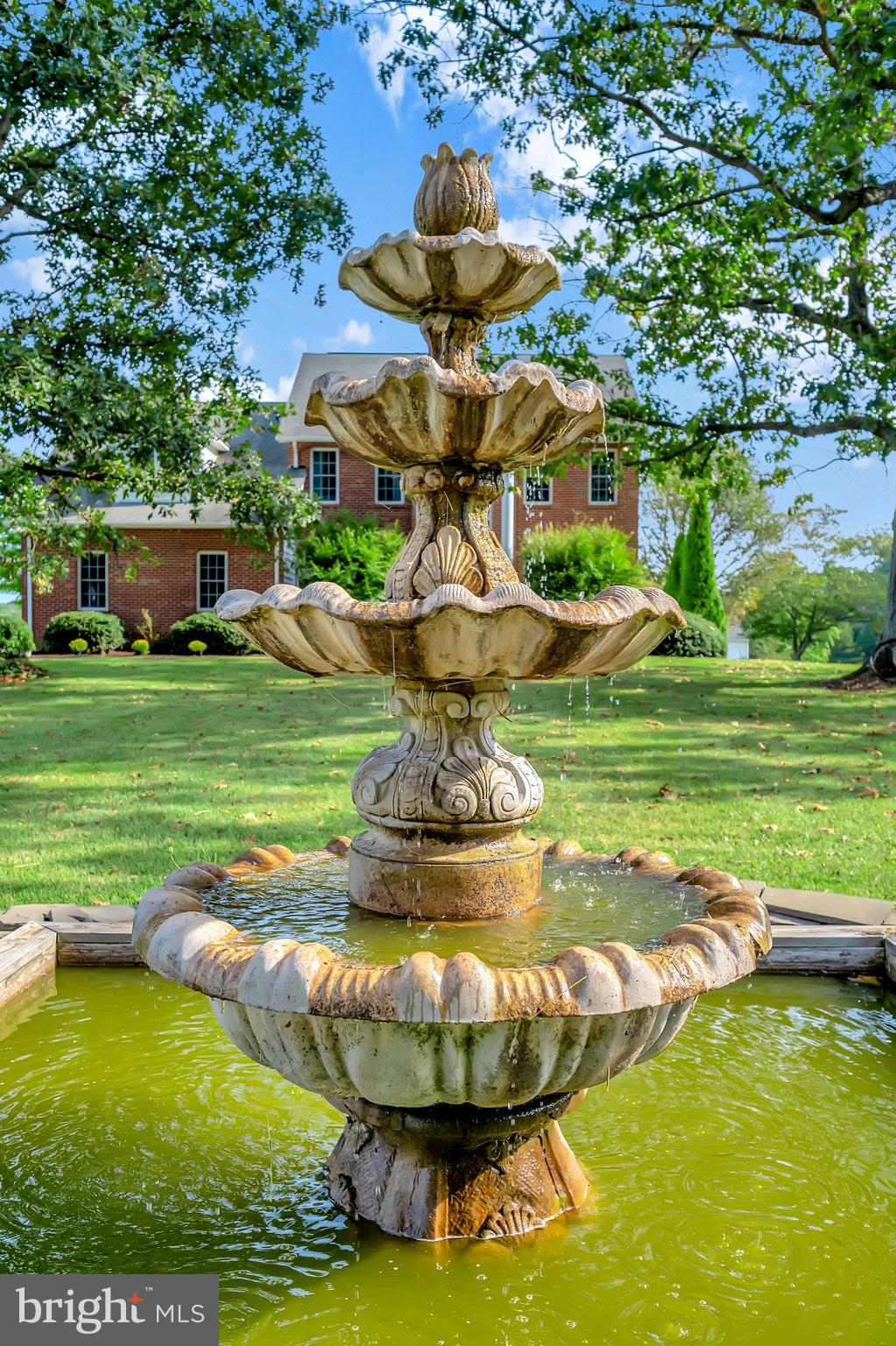 27537 Mine Run Road Rhoadesville, VA 22542 - Photo 8 of 94 Frontyard Water Fountain with Fish Pond