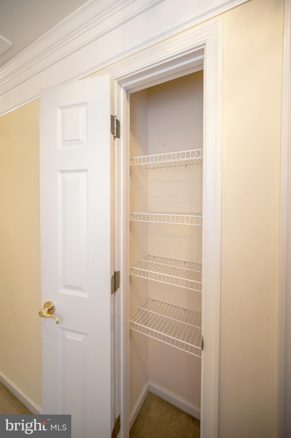 27537 Mine Run Road Rhoadesville, VA 22542 - Photo 94 of 94 Upper Level Single Linen Closet