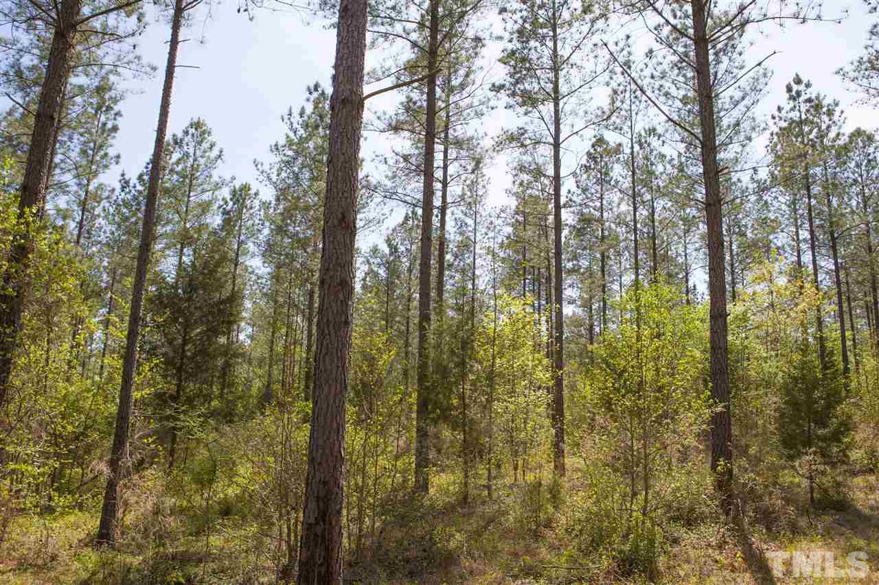 0 Reno Sharpe Store Road Sanford, NC 27330 - Photo 12 of 25 Gallery Image 12