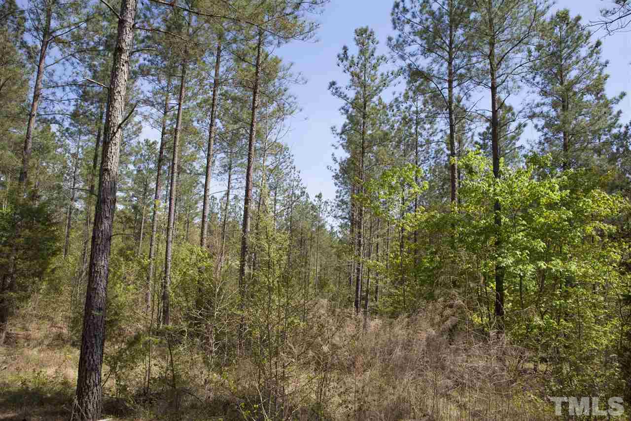 0 Reno Sharpe Store Road Sanford, NC 27330 - Photo 13 of 25 Gallery Image 13
