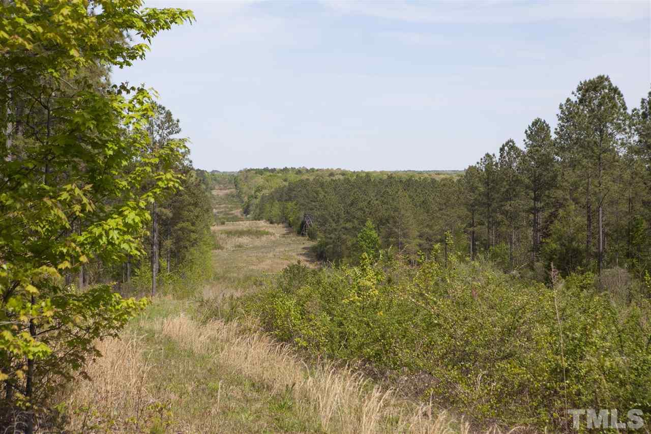 0 Reno Sharpe Store Road Sanford, NC 27330 - Photo 15 of 25 Gallery Image 15