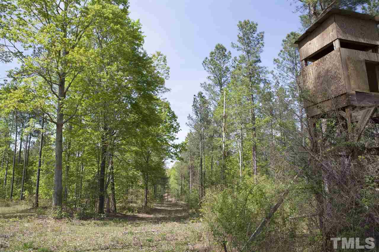 0 Reno Sharpe Store Road Sanford, NC 27330 - Photo 16 of 25 Gallery Image 16