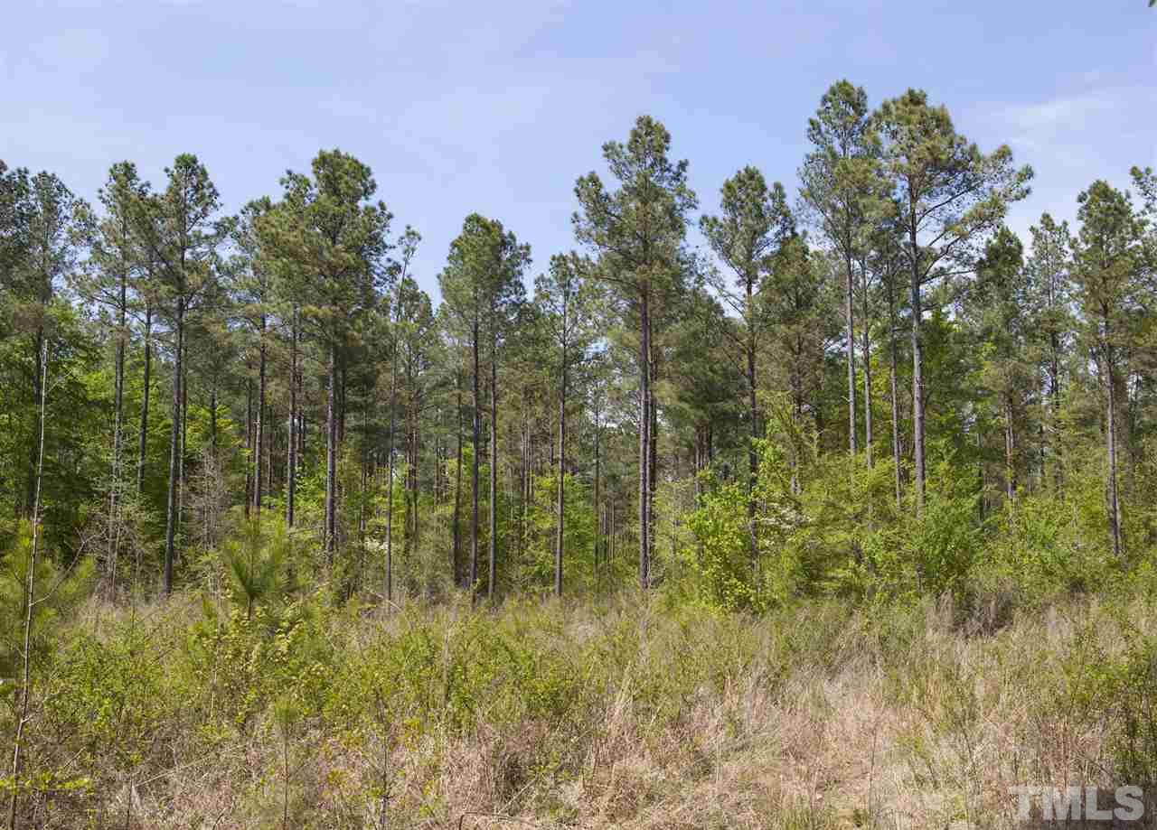 0 Reno Sharpe Store Road Sanford, NC 27330 - Photo 4 of 25 Gallery Image 4