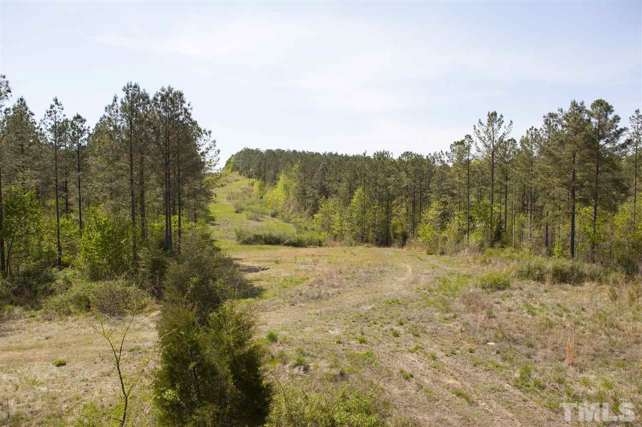 0 Reno Sharpe Store Road Sanford, NC 27330 - Photo 10 of 25 Gallery Image 10
