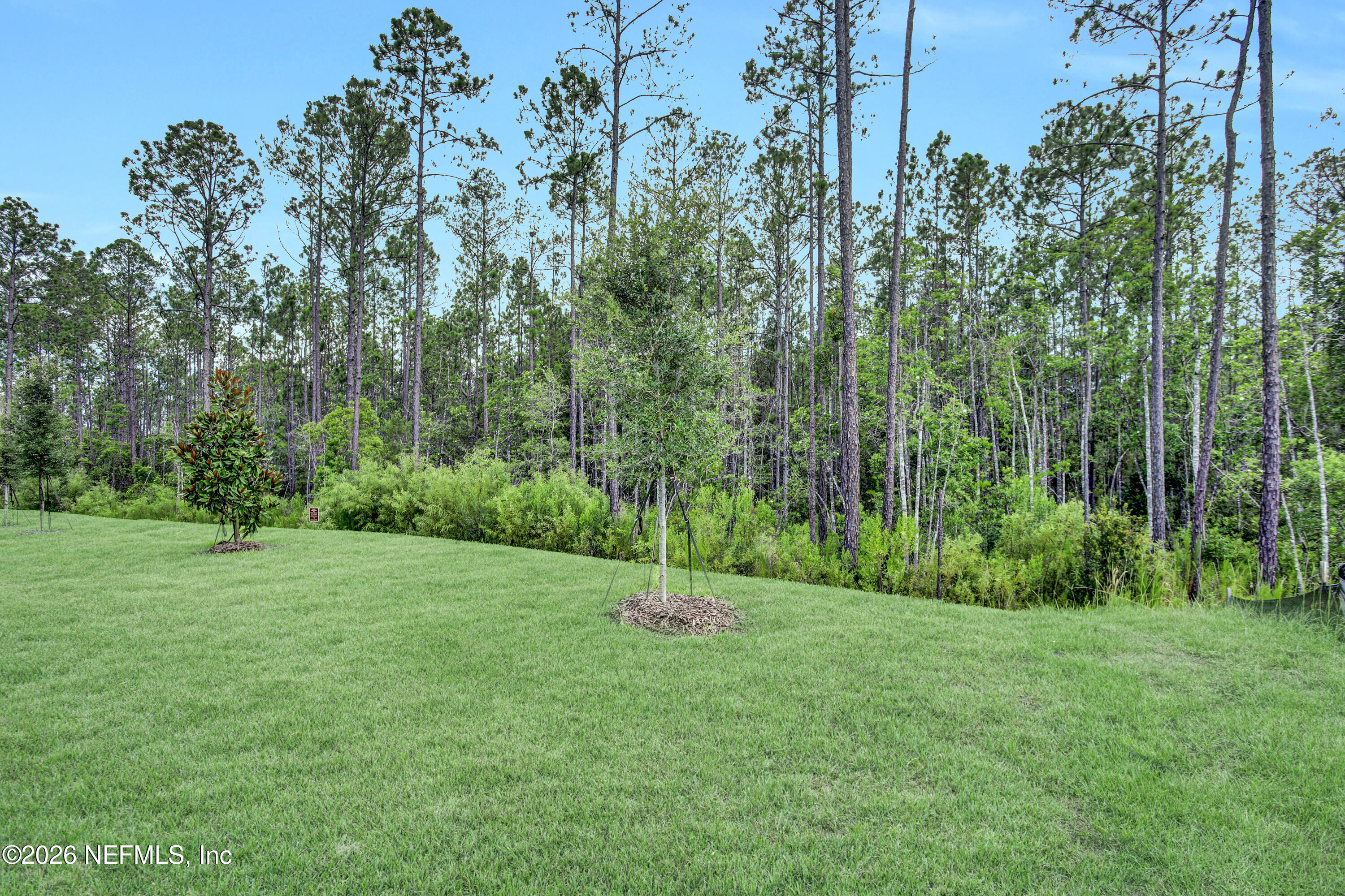 41 Reverie Drive North Palm Coast, FL 32137 - Photo 5 of 23 IMG_0233