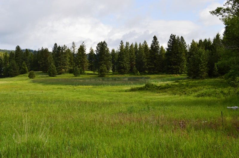 2543 Grimm Road Addy, WA 99101 - Photo 8 of 19