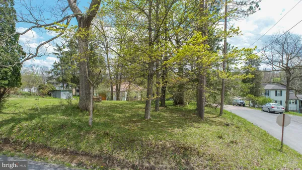 a big yard with lots of green space and trees
