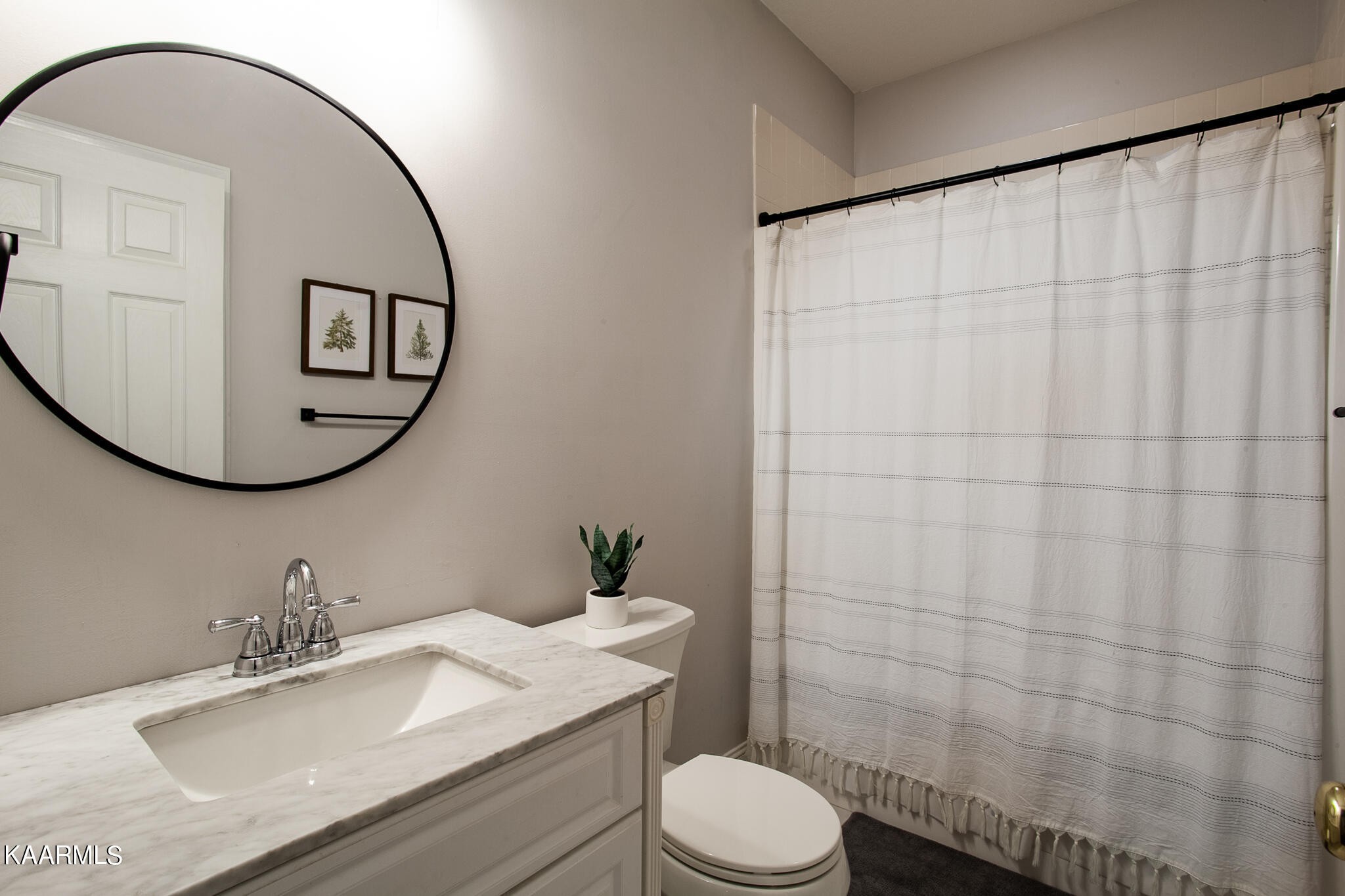 610 Dry Valley Road Townsend, TN 37882 - Photo 25 of 37 a bathroom with a sink toilet and mirror