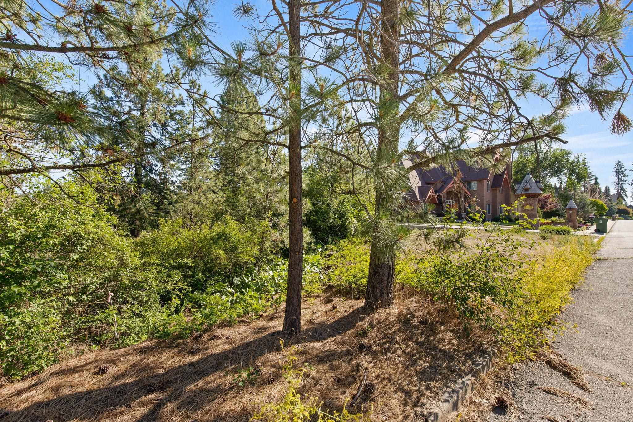 1841 East Pinecrest Road Spokane, WA 99203 - Photo 4 of 23