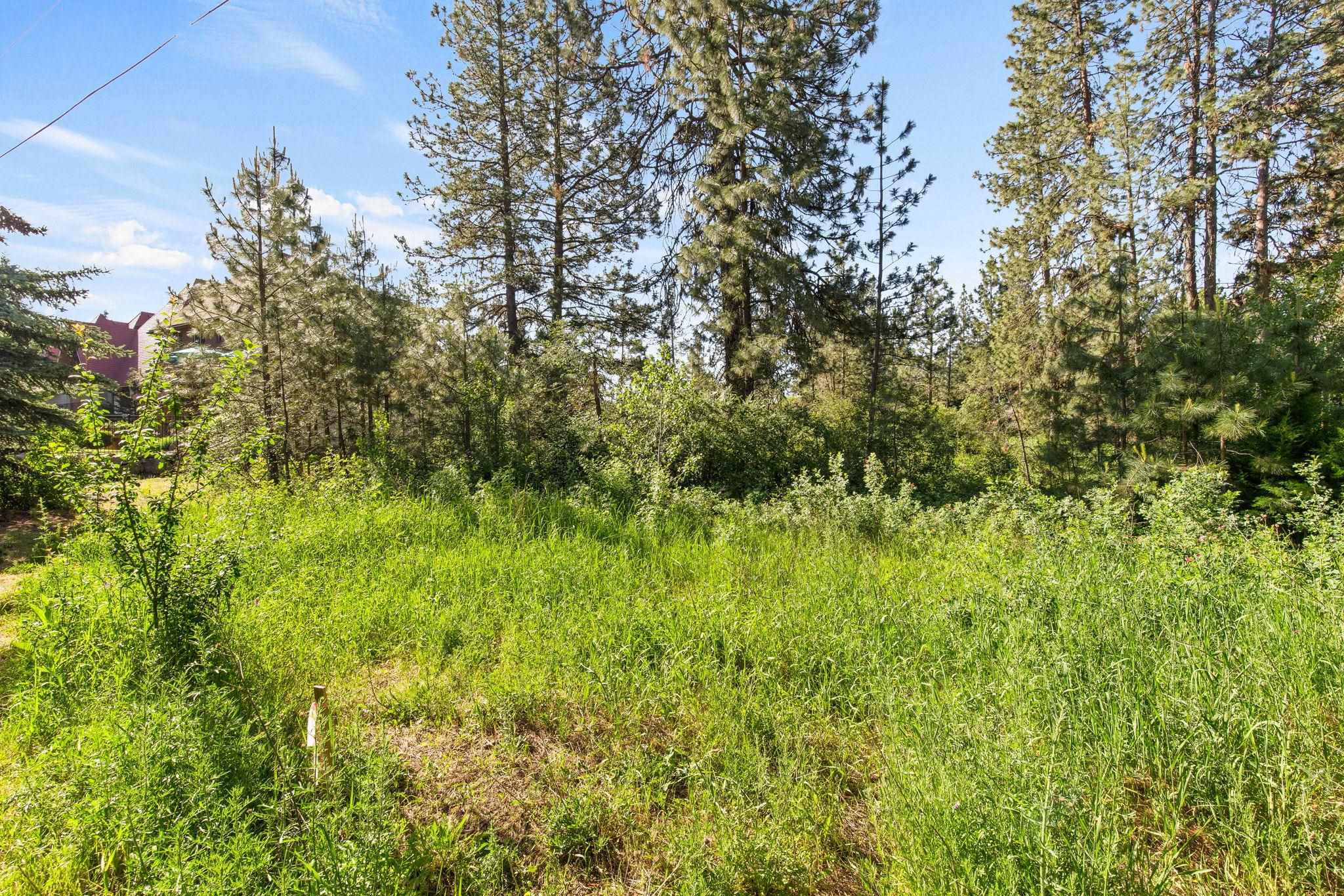 1841 East Pinecrest Road Spokane, WA 99203 - Photo 6 of 23