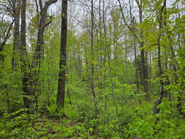 $37,500 | 681 Mile Hill Road, New Sharon, ME 04955