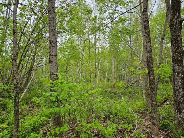 $37,500 | 681 Mile Hill Road, New Sharon, ME 04955